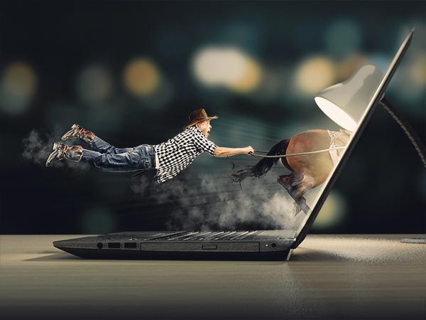 Celerity-grafica-vaquero