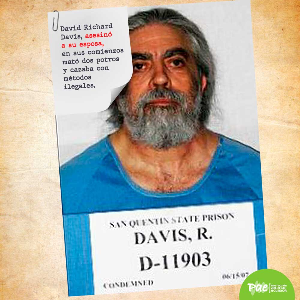 PAE_COIP_asesino-david