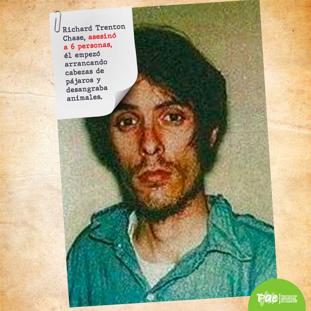 PAE_COIP_asesino-richard