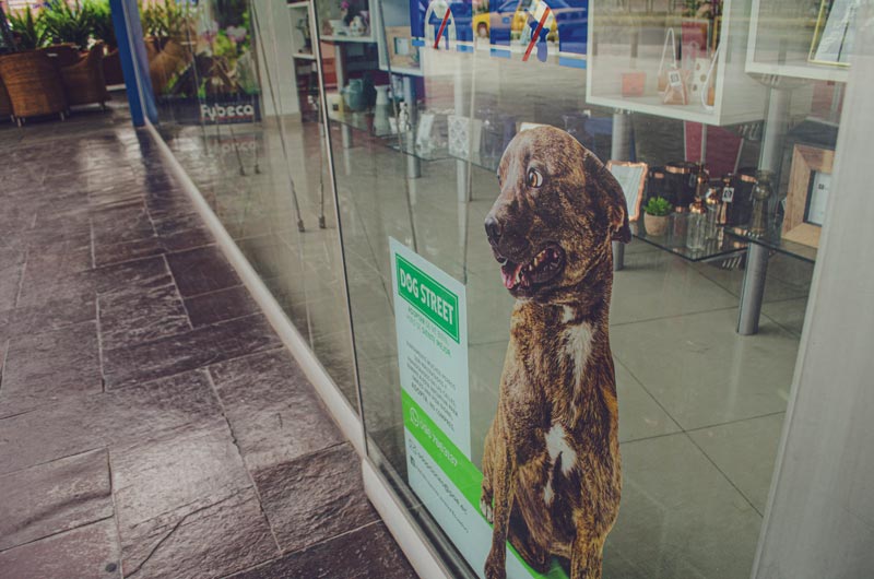 pae-dogstreet-idea-creativa