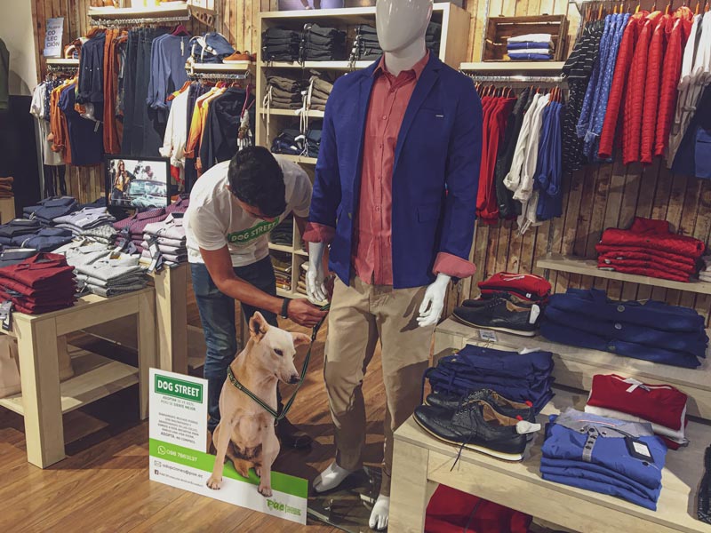 pae-dogstreet-perro-accion-publicitaria