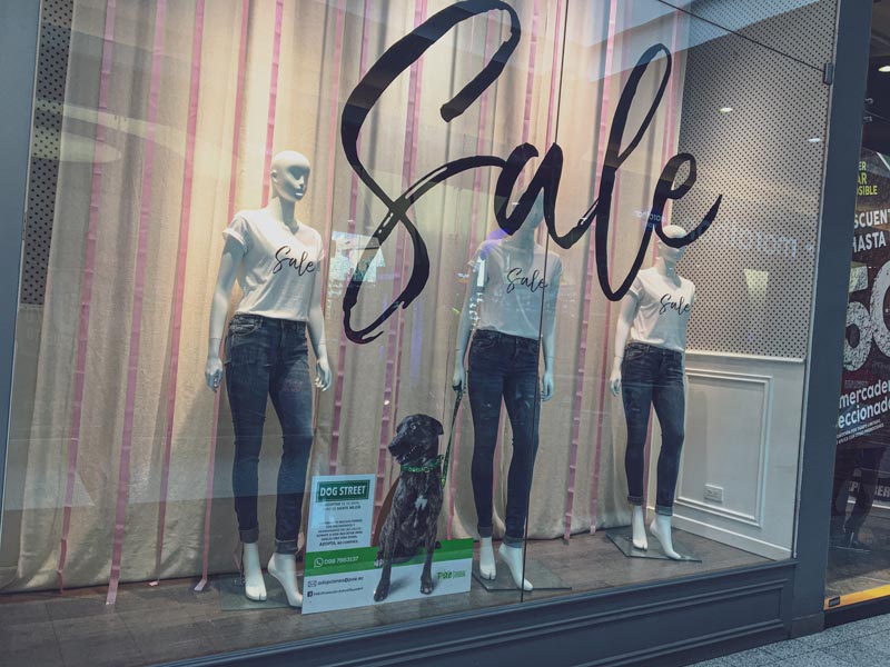 pae-dogstreet-perro-callejero