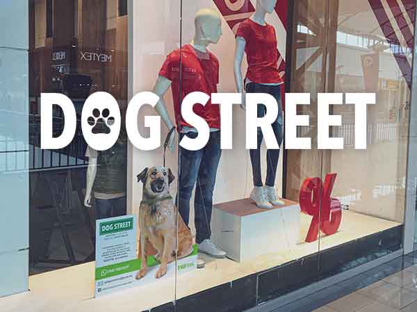 pae-dogstreet-perros